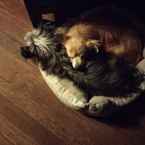 Meet your Posher, William